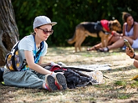 Adoptuj Warszawiaka  Wydarzenie promujące adopcję zwierząt. Organizator: Schronisko dla Bezdomnych Zwierząt "Na Paluchu". 18 sierpnia 2019, Park Raszyński w Raszynie. : park raszyński, adoptuj warszawiaka, na paluchu, schronisko dla zwierząt, centrum warszawy, raszyn